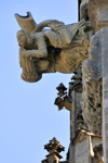 Kutna Hora w Czechach